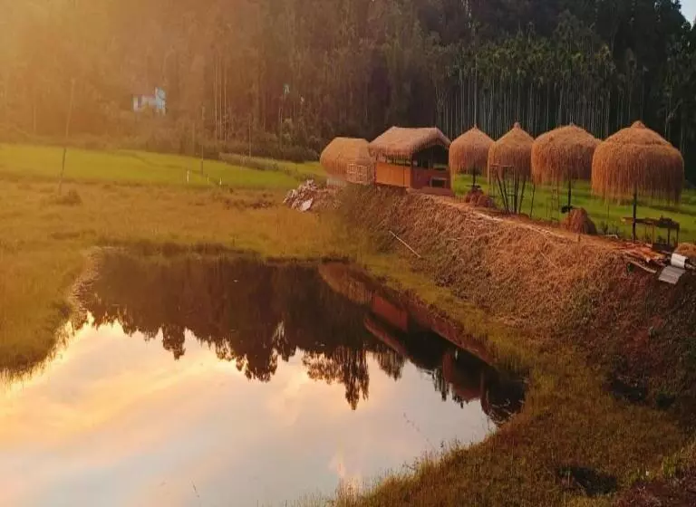 Mystery Maze Resort And Spa