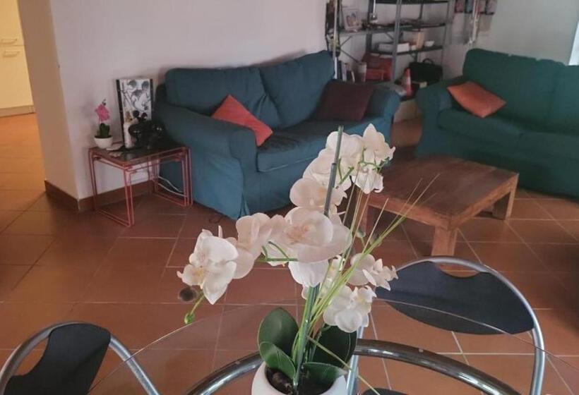 Pension Lugano, Stanza A Breganzona