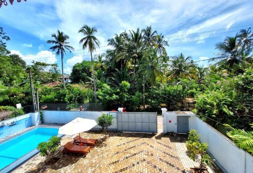 Majatalo Y &y Guesthouse