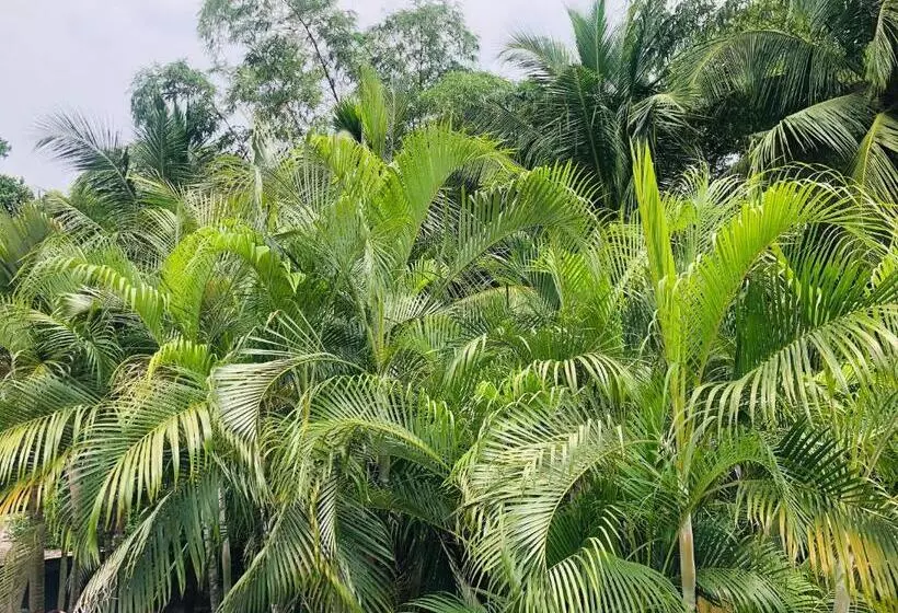 River Garden Hotel Anuradhapura