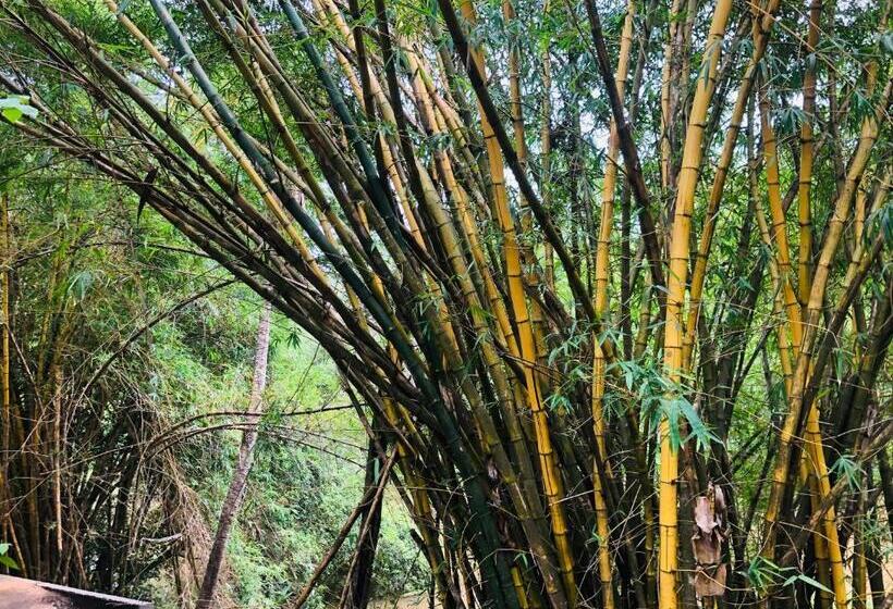 River Garden Hotel Anuradhapura