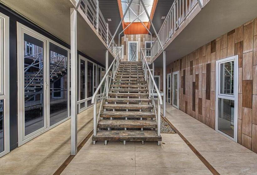 هاستل иксаотель