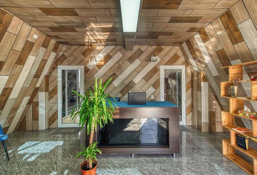 هاستل иксаотель