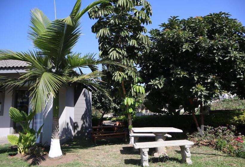 Enhle Bed And Breakfast