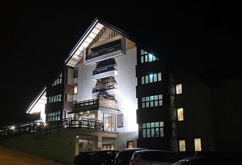 هتل シェーネスハイム金山