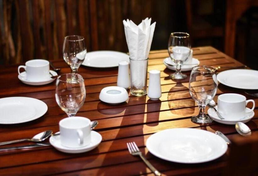 Mamma Raji Hotel   Freedom Paradise