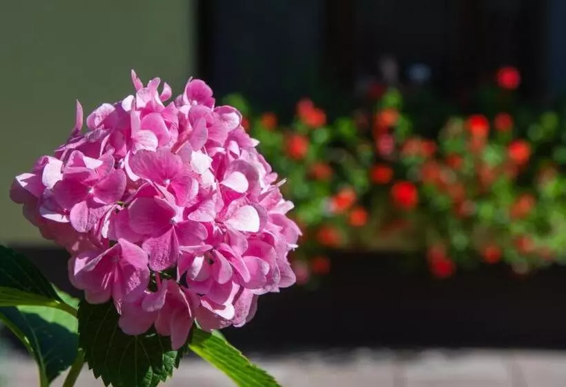 ペンション Penzion Hájenka