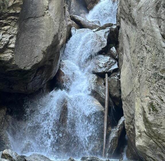 Пансион Rare House