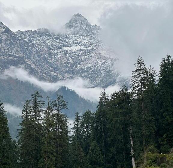 Пансион Rare House