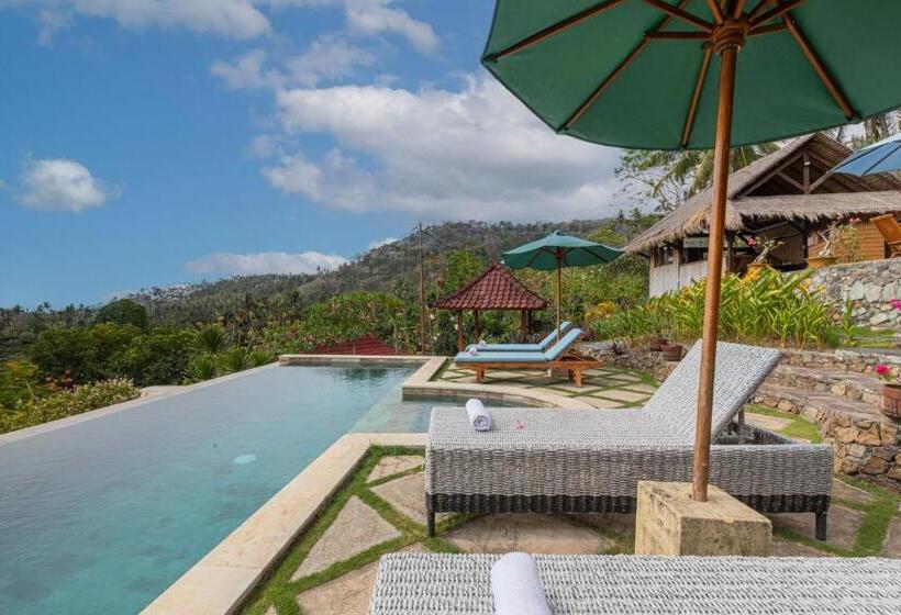 膳宿费 Safara Villa & Bungalow Syariah