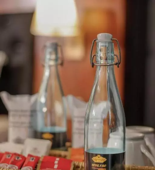 Lomakeskus Covanro Sigiriya   Brand New Luxury