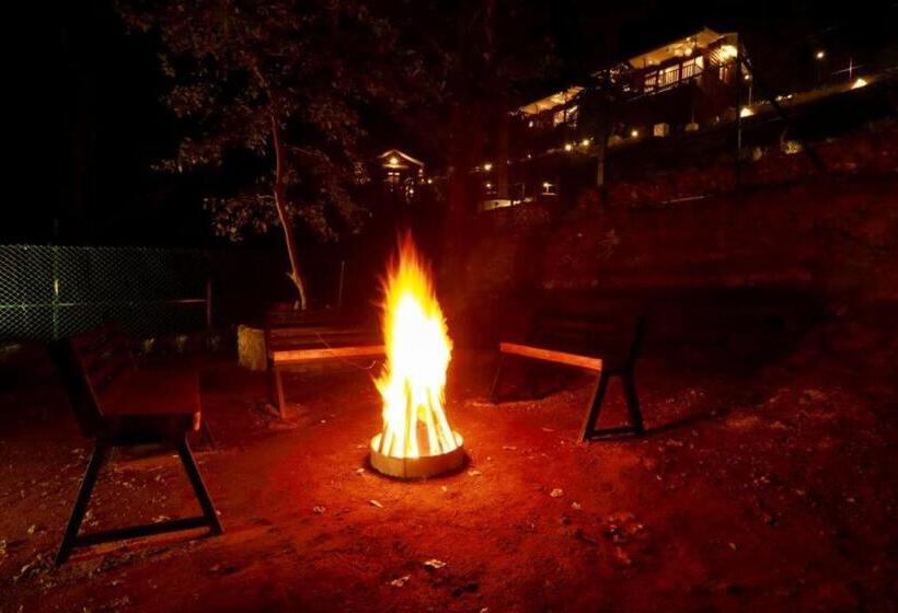 צימר Wild Orchid