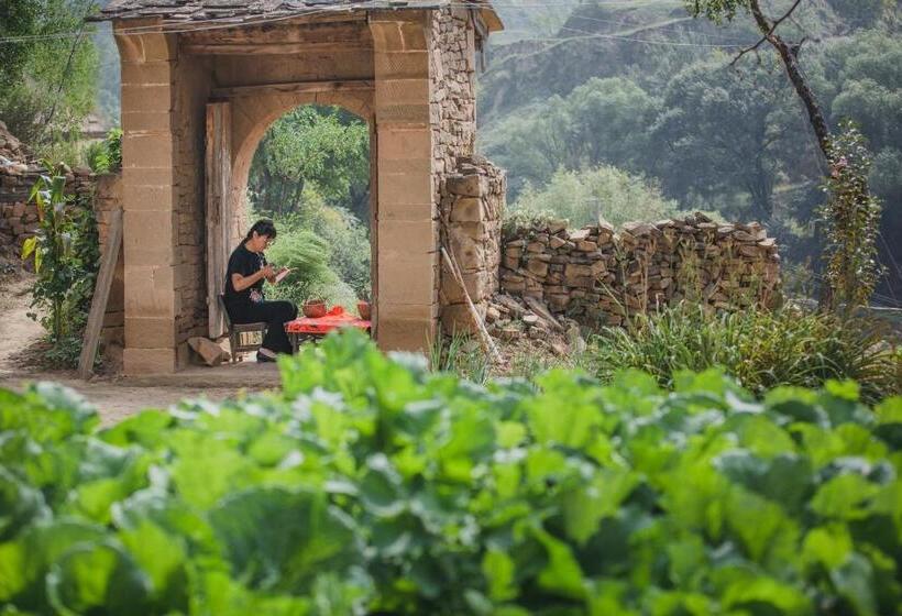 בית מלון כפרי 枣花香乡村度假区