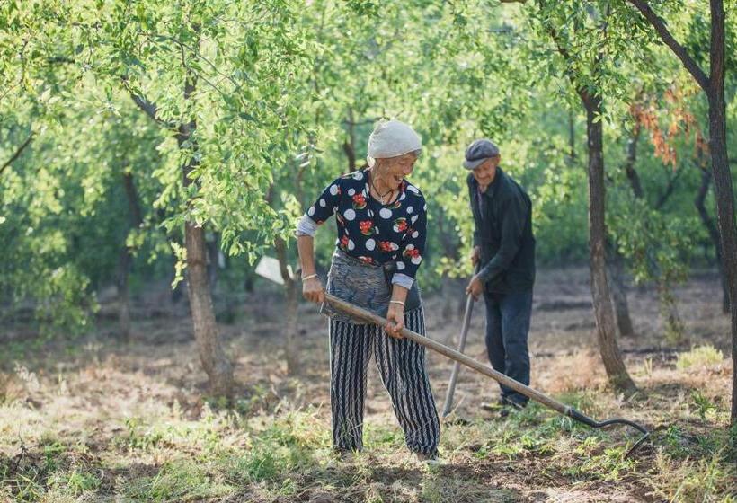 בית מלון כפרי 枣花香乡村度假区