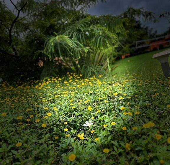 בית מלון כפרי Monroe Stay