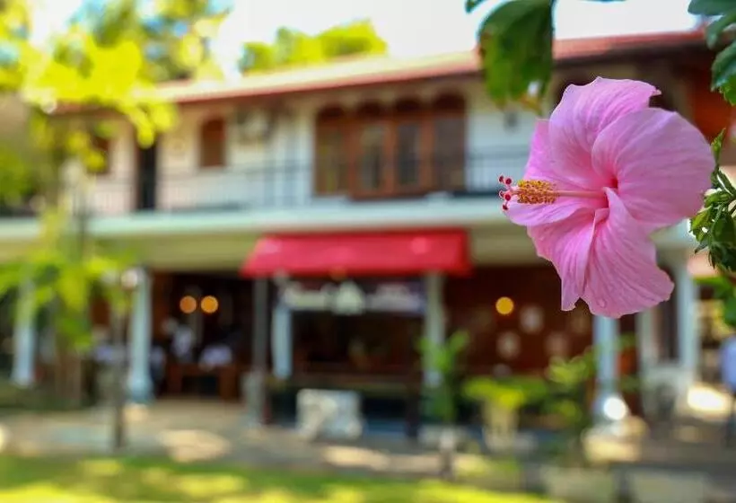 Hotelli Wisdom Boutique Resort