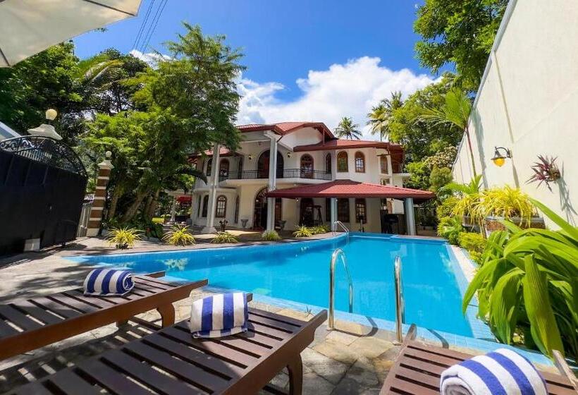 فندق Wisdom Boutique Resort