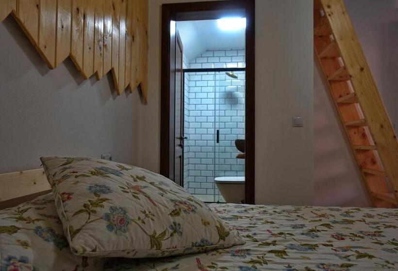 پانسیون Casia Guest House