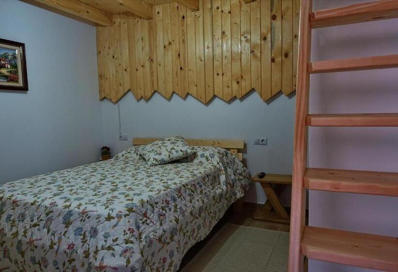 پانسیون Casia Guest House