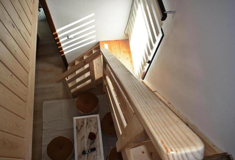 پانسیون Casia Guest House