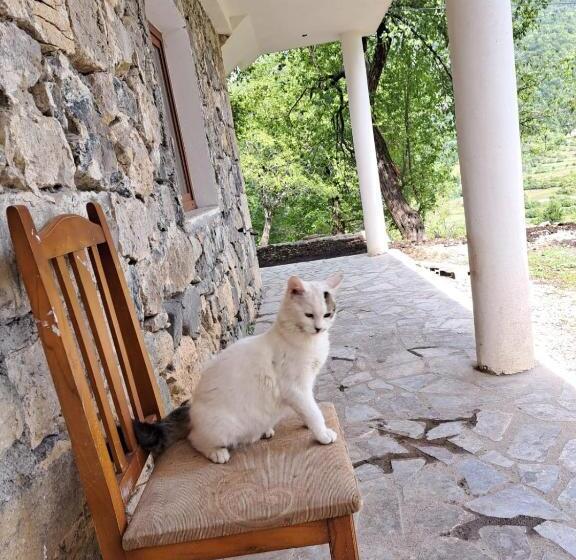 פנסיון Guesthouse Te Tata