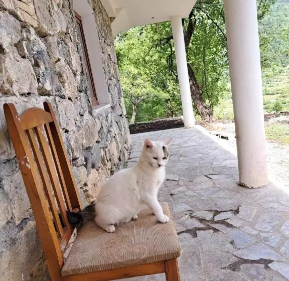 Majatalo Guesthouse Te Tata