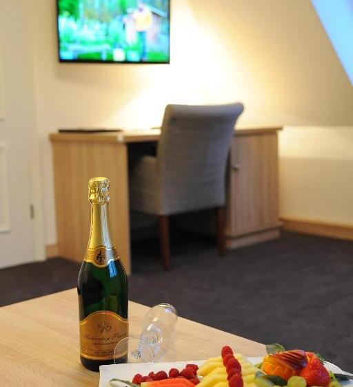 酒店 Anlage Starick