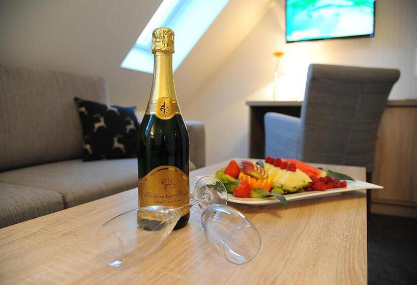 酒店 Anlage Starick