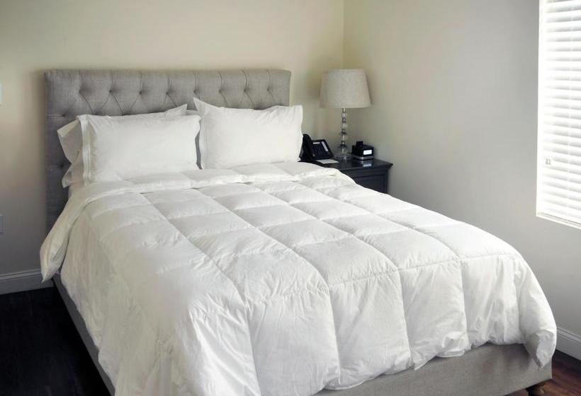 호텔 Bricco Suites