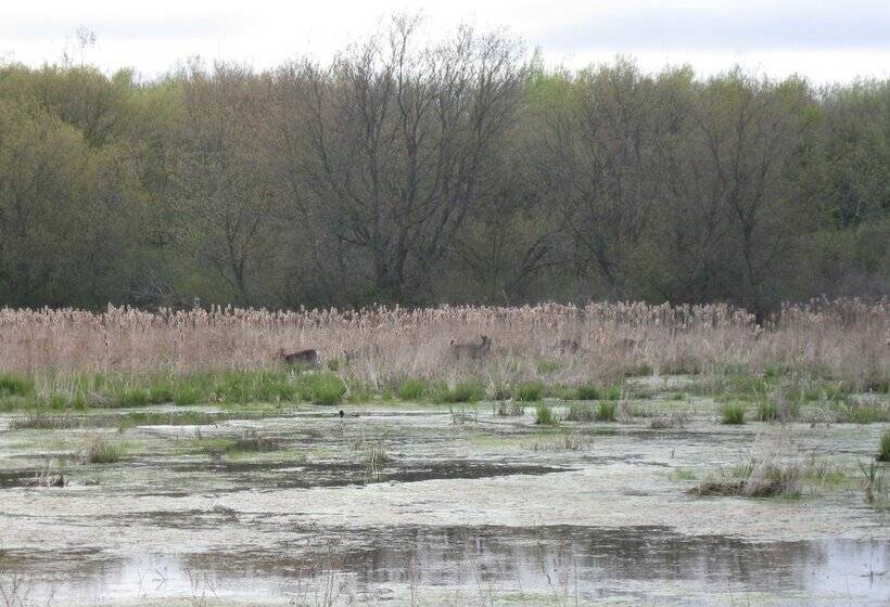 Отель Coastal Inn
