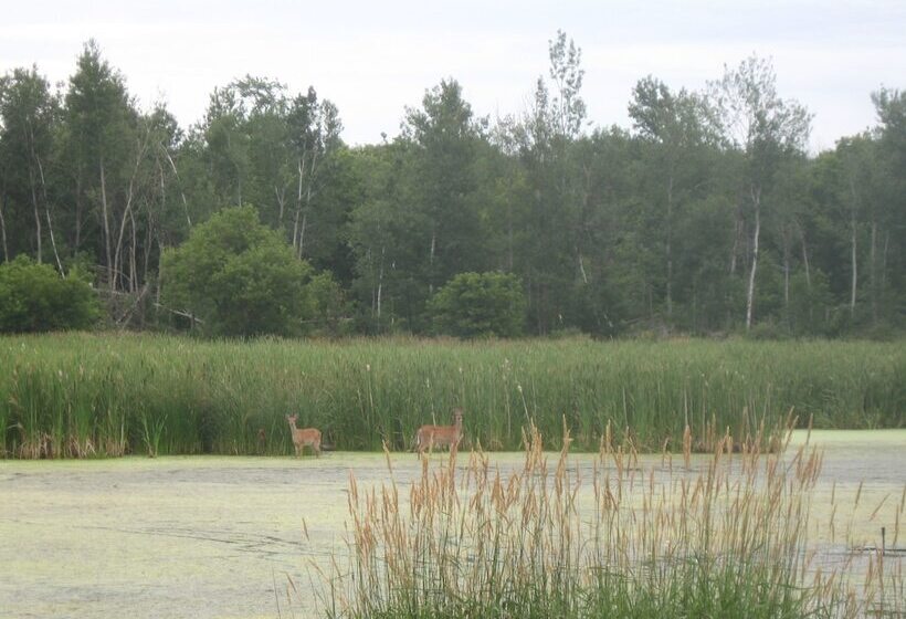 Отель Coastal Inn