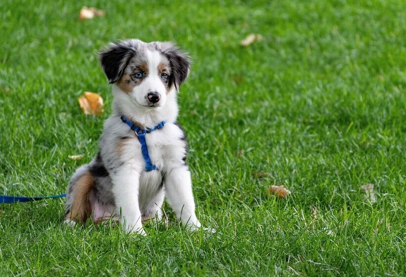 호텔 Creekside Inn Of Paso Robles