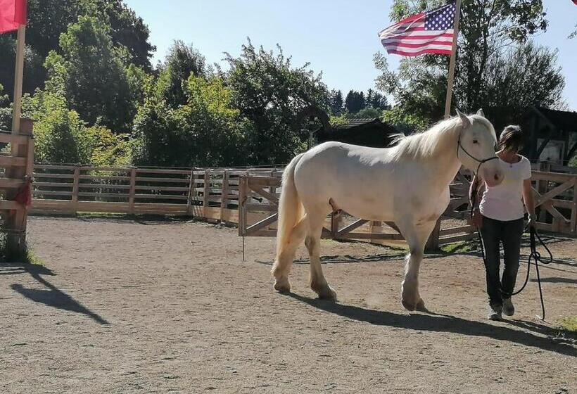 ホテル Der Blankhof Back To Roots