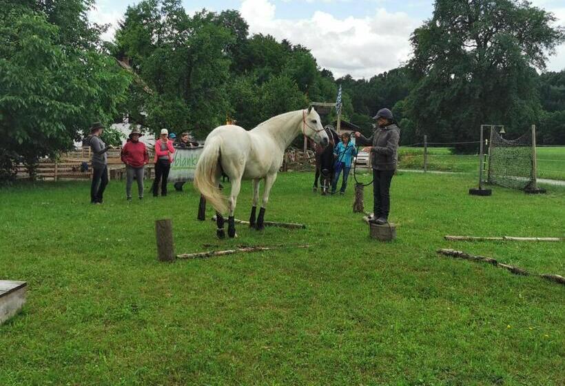 ホテル Der Blankhof Back To Roots