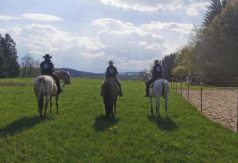 ホテル Der Blankhof Back To Roots