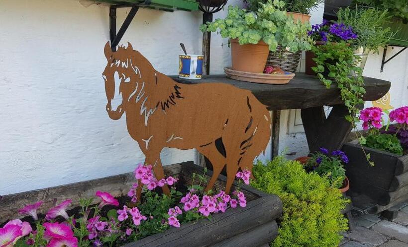 ホテル Der Blankhof Back To Roots