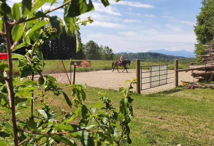 ホテル Der Blankhof Back To Roots