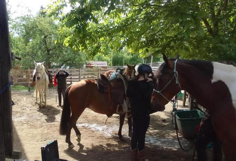 ホテル Der Blankhof Back To Roots