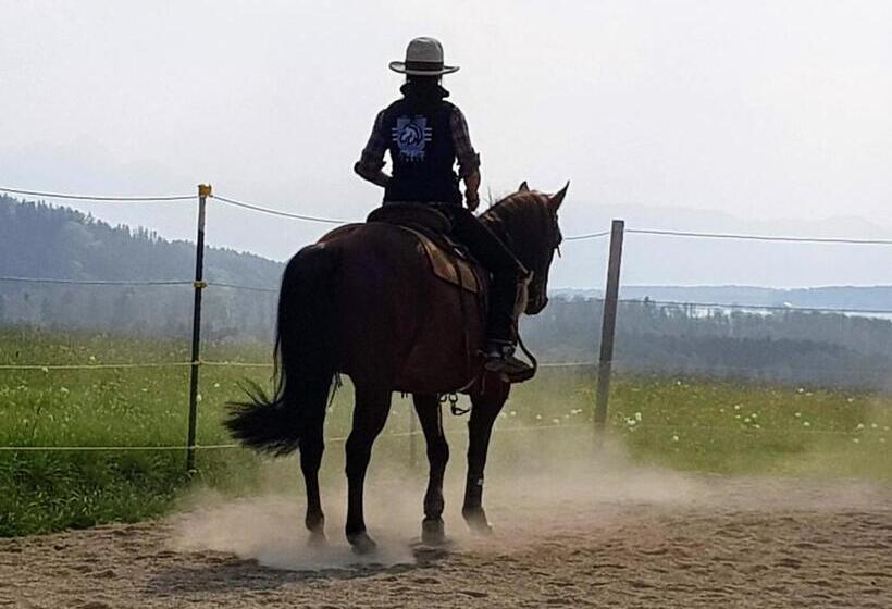 ホテル Der Blankhof Back To Roots