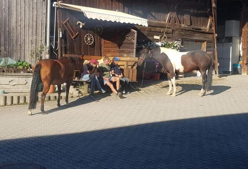 ホテル Der Blankhof Back To Roots