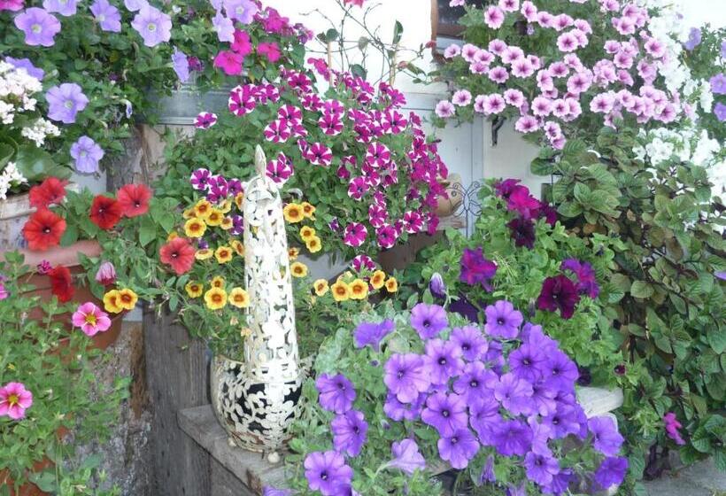 ホテル Der Blankhof Back To Roots