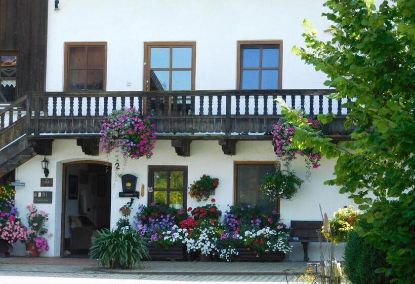 ホテル Der Blankhof Back To Roots