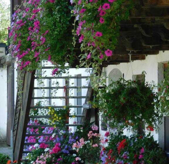 ホテル Der Blankhof Back To Roots