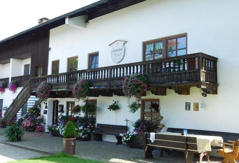 ホテル Der Blankhof Back To Roots