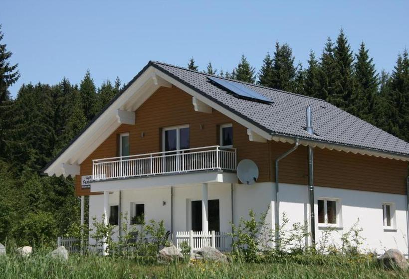 Отель Haus Ferientraum