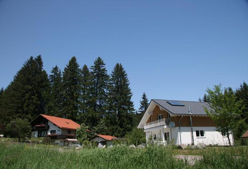 Отель Haus Ferientraum