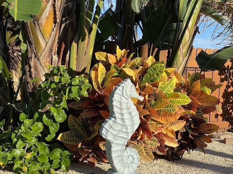 فندق Seahorse Oceanfront Inn
