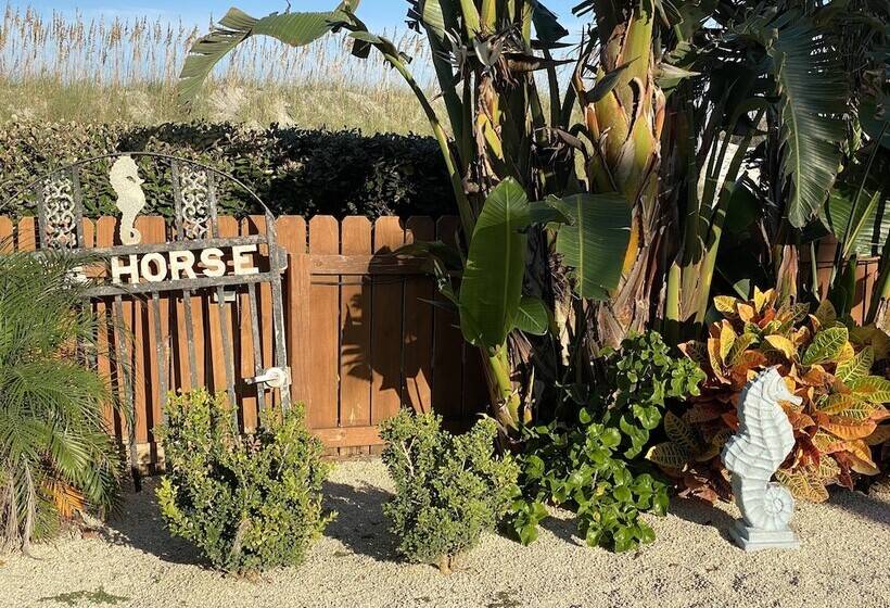 فندق Seahorse Oceanfront Inn