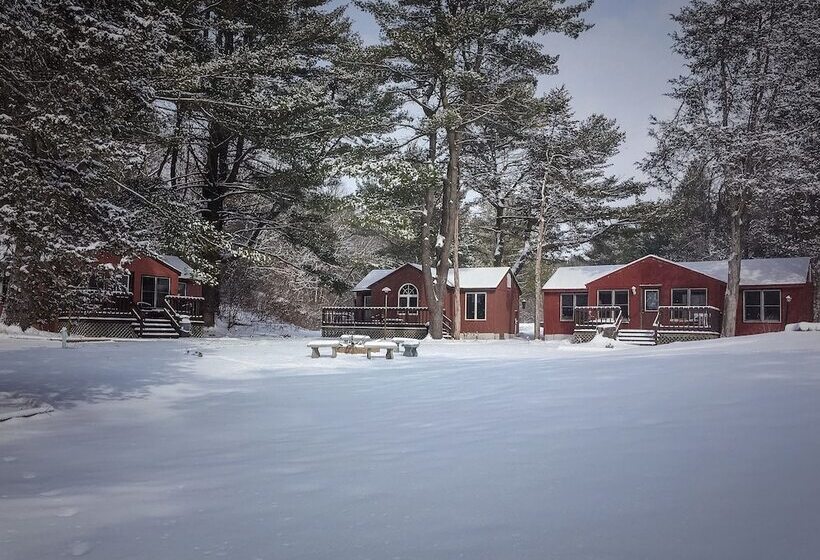 Отель Silver Spruce Resort