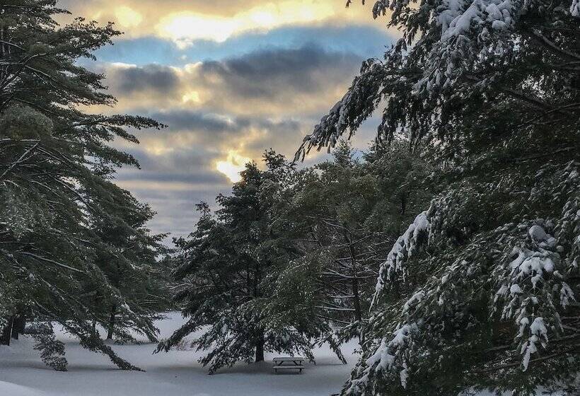 Отель Silver Spruce Resort